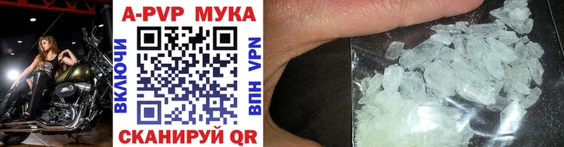 OMG как войти  Гвардейск  Alpha PVP СК КРИС 