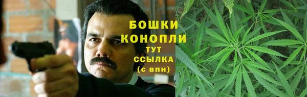 PSILOCYBIN Баксан