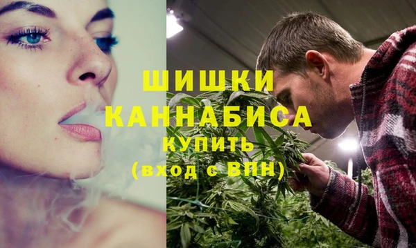 PSILOCYBIN Баксан