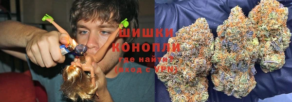 PSILOCYBIN Баксан
