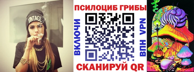 хочу наркоту Гвардейск Галлюциногенные грибы прущие грибы