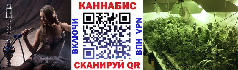 Конопля семена Гвардейск